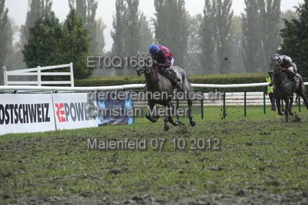 ET0Q1683 prot
