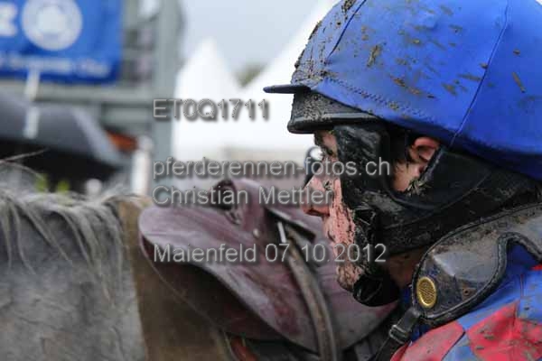ET0Q1711 prot