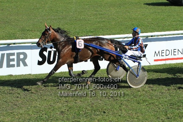 IMG 7014 600x400 prot