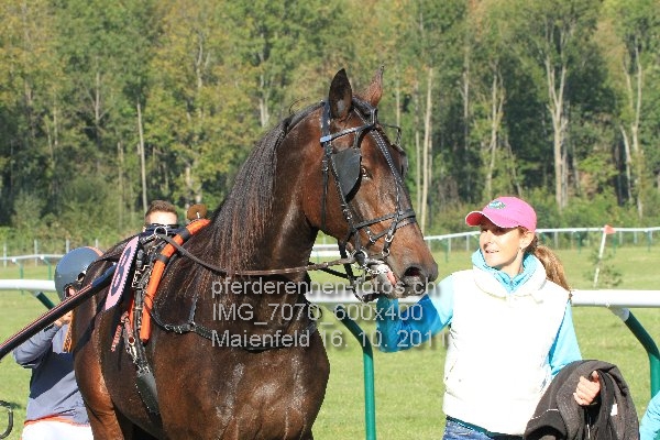 IMG 7070 600x400 prot