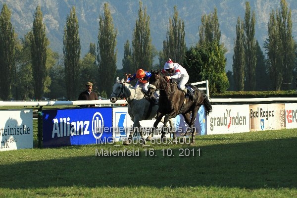 IMG 7506 600x400 prot