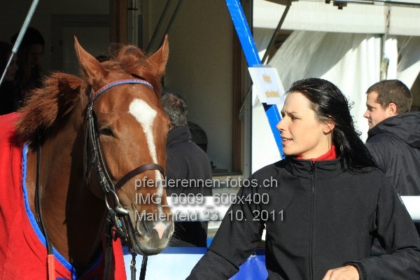 IMG 0009 600x400 prot