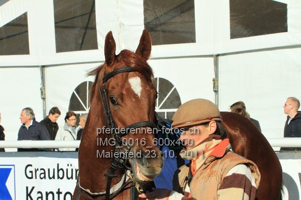 IMG 0016 600x400 prot