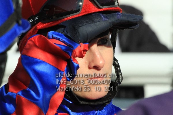 IMG 0018 600x400 prot