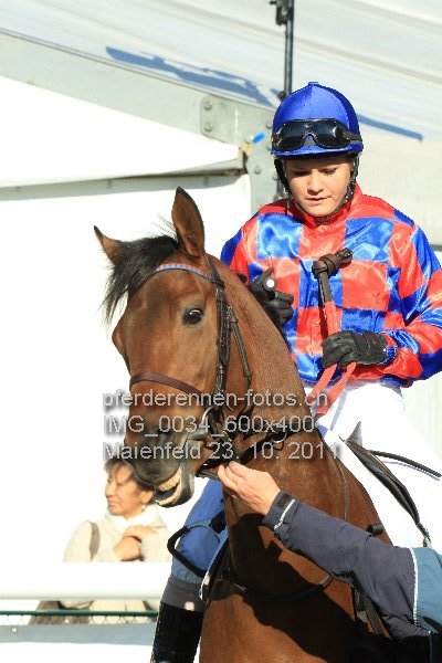 IMG 0034 600x400 prot
