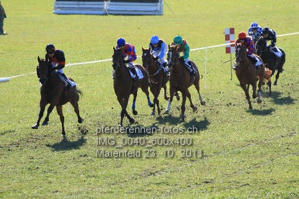 IMG 0040 600x400 prot