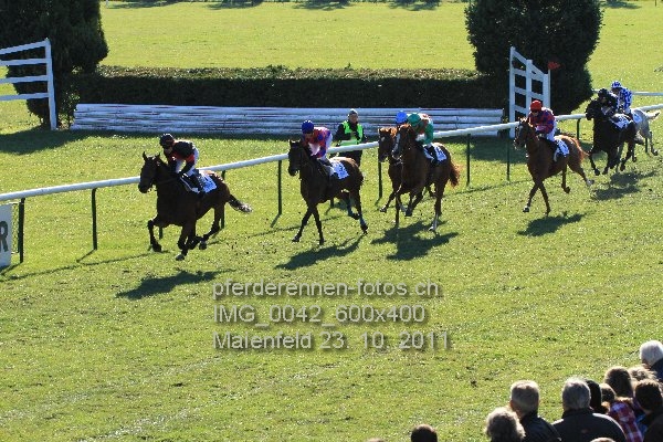 IMG 0042 600x400 prot