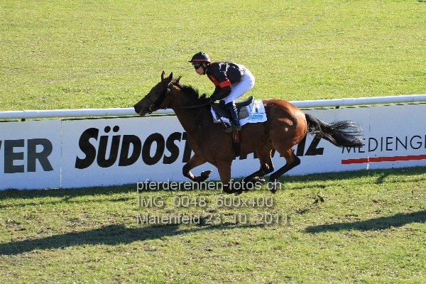 IMG 0048 600x400 prot