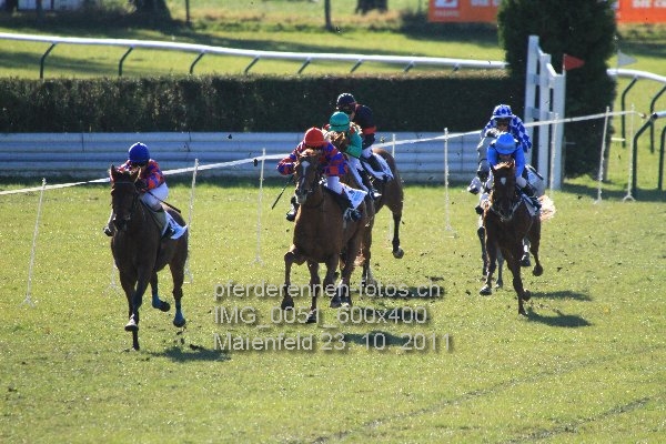 IMG 0051 600x400 prot