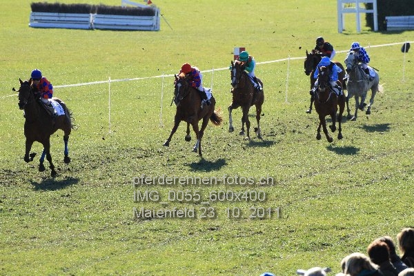 IMG 0055 600x400 prot