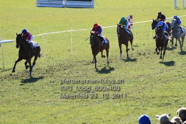 IMG 0056 600x400 prot