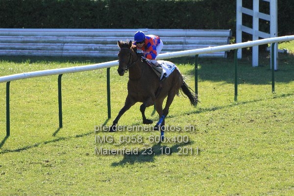 IMG 0058 600x400 prot