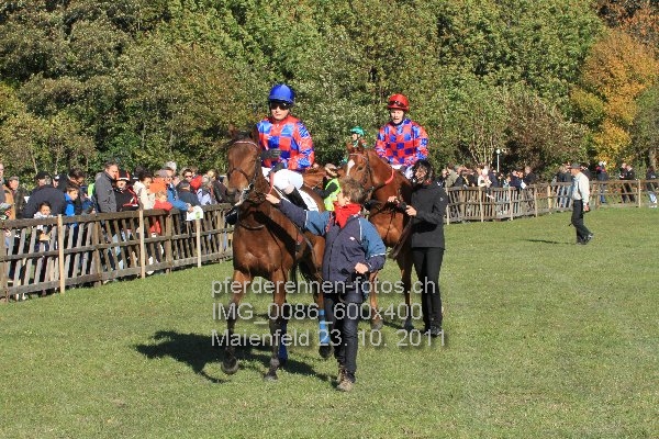 IMG 0086 600x400 prot