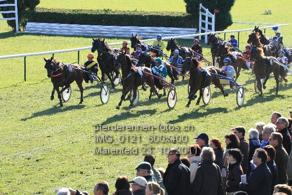 IMG 0121 600x400 prot