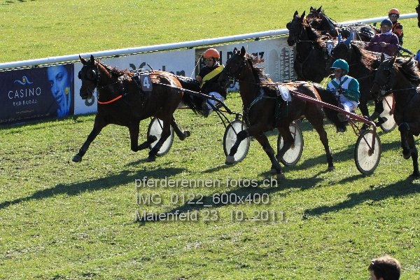 IMG 0122 600x400 prot