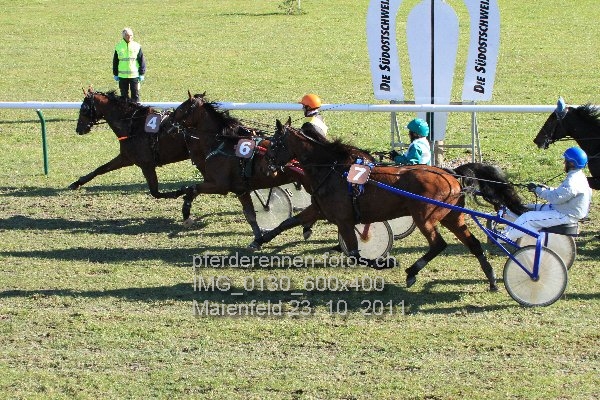 IMG 0130 600x400 prot