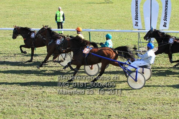 IMG 0131 600x400 prot