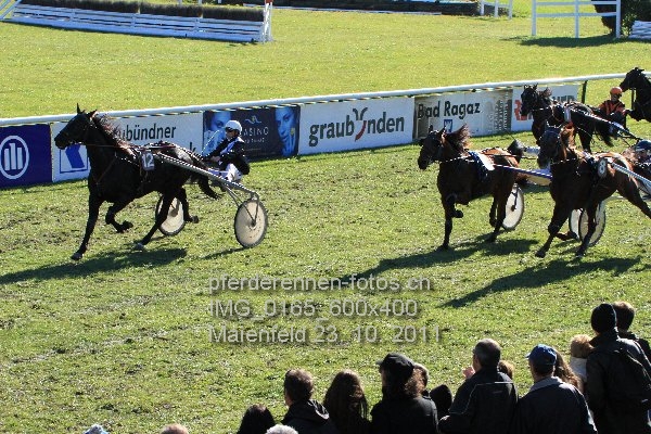 IMG 0165 600x400 prot