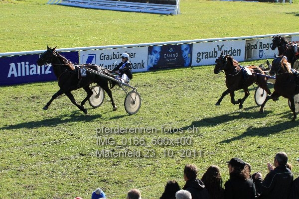 IMG 0166 600x400 prot