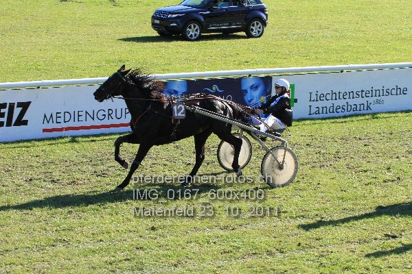 IMG 0167 600x400 prot