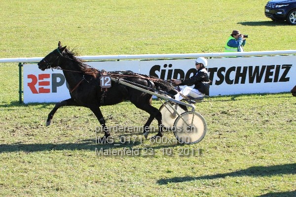 IMG 0171 600x400 prot