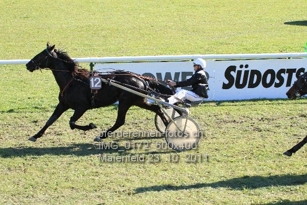 IMG 0172 600x400 prot