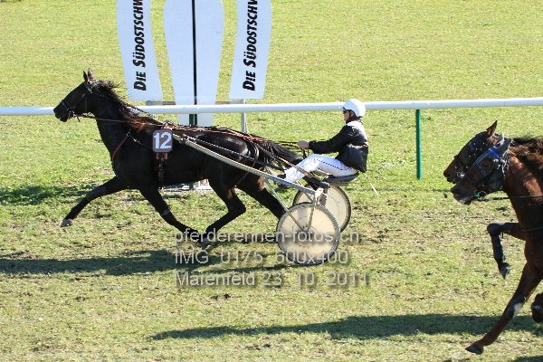 IMG 0175 600x400 prot