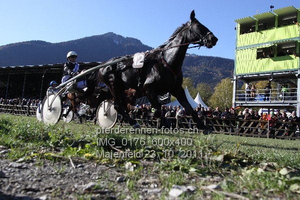 IMG 0176 600x400 prot
