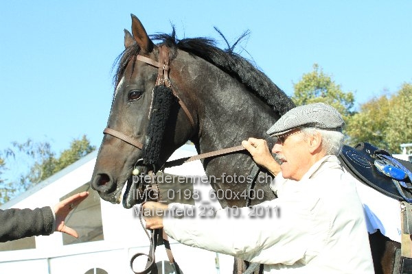 IMG 0198 600x400 prot