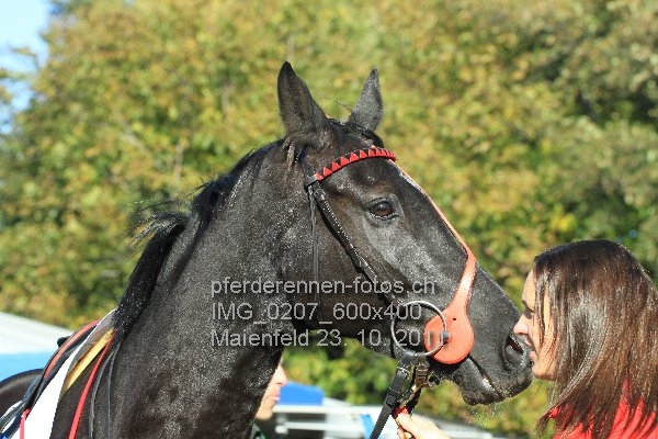 IMG 0207 600x400 prot