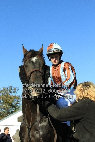 IMG 0212 600x400 prot