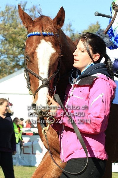 IMG 0219 600x400 prot
