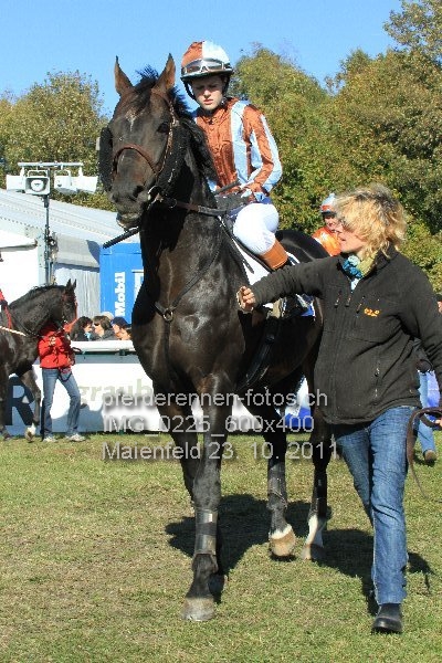 IMG 0225 600x400 prot