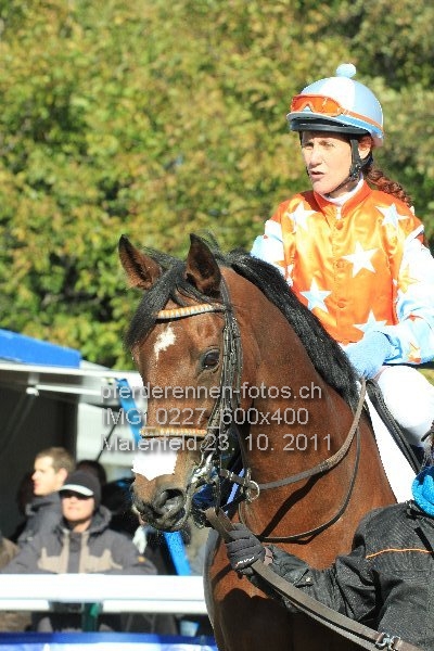 IMG 0227 600x400 prot