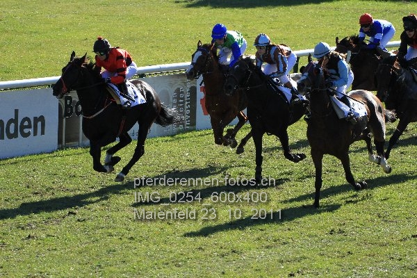IMG 0254 600x400 prot