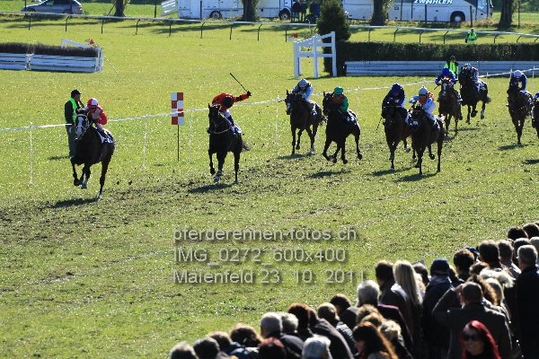 IMG 0272 600x400 prot