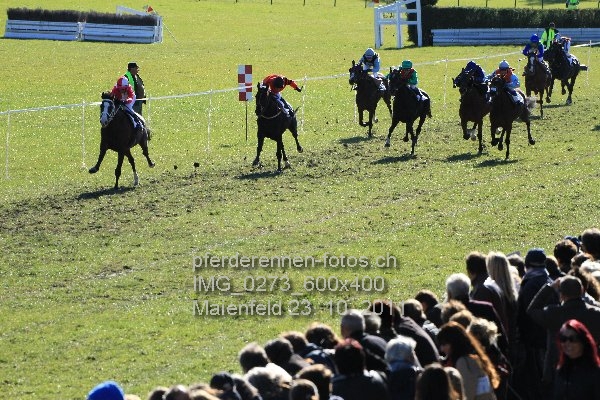 IMG 0273 600x400 prot