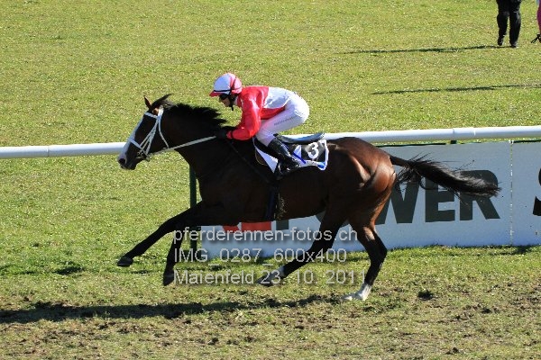 IMG 0287 600x400 prot