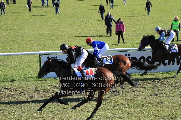 IMG 0290 600x400 prot