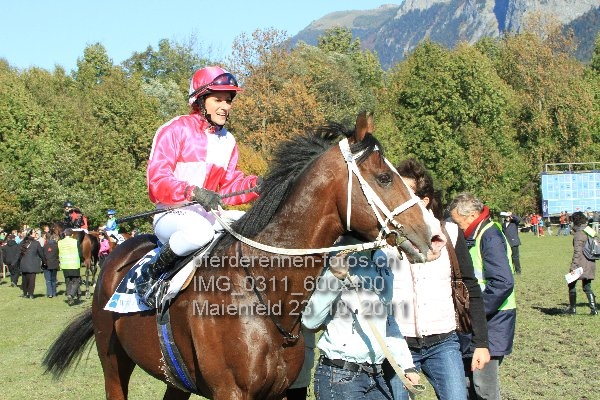 IMG 0311 600x400 prot