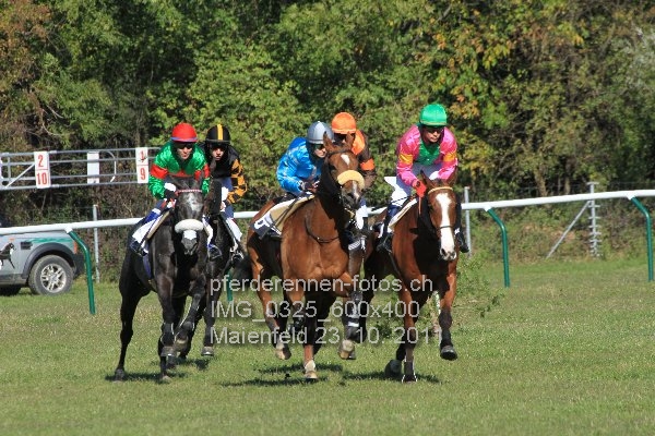 IMG 0325 600x400 prot
