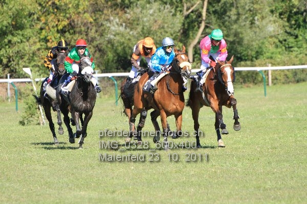 IMG 0328 600x400 prot