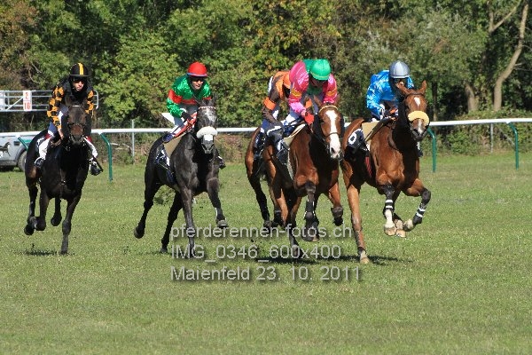 IMG 0346 600x400 prot