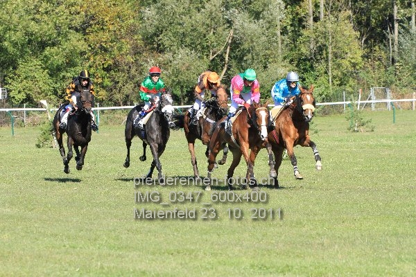 IMG 0347 600x400 prot