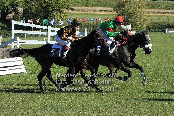 IMG 0358 600x400 prot