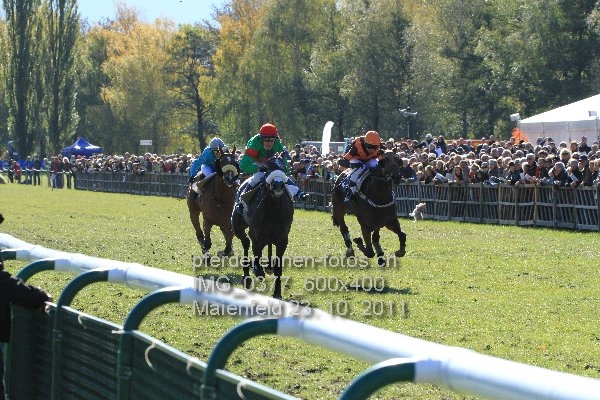 IMG 0377 600x400 prot