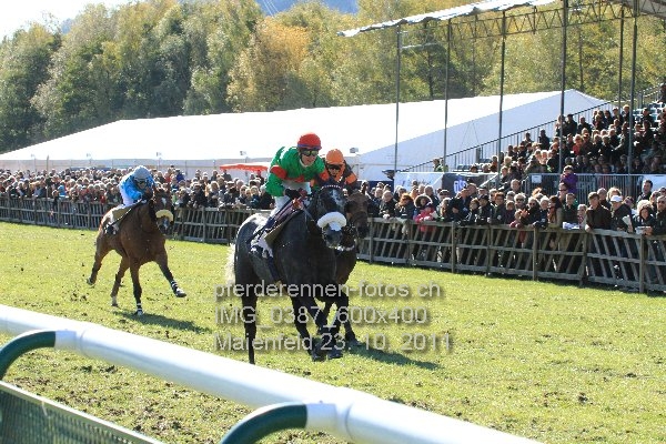 IMG 0387 600x400 prot