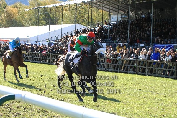 IMG 0390 600x400 prot