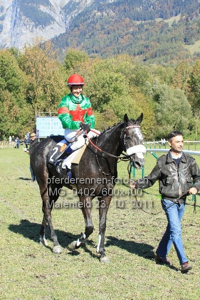 IMG 0402 600x400 prot