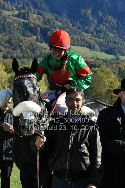 IMG 0412 600x400 prot